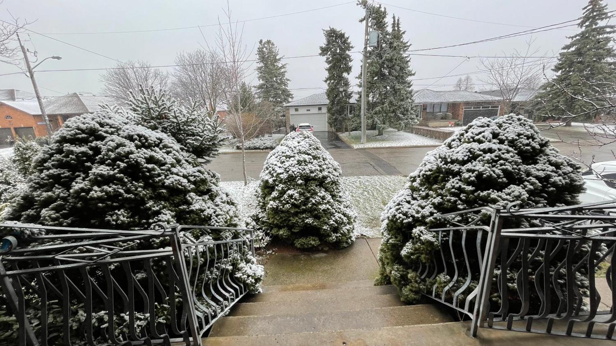 Glengrove Cozy Home Toronto Buitenkant foto